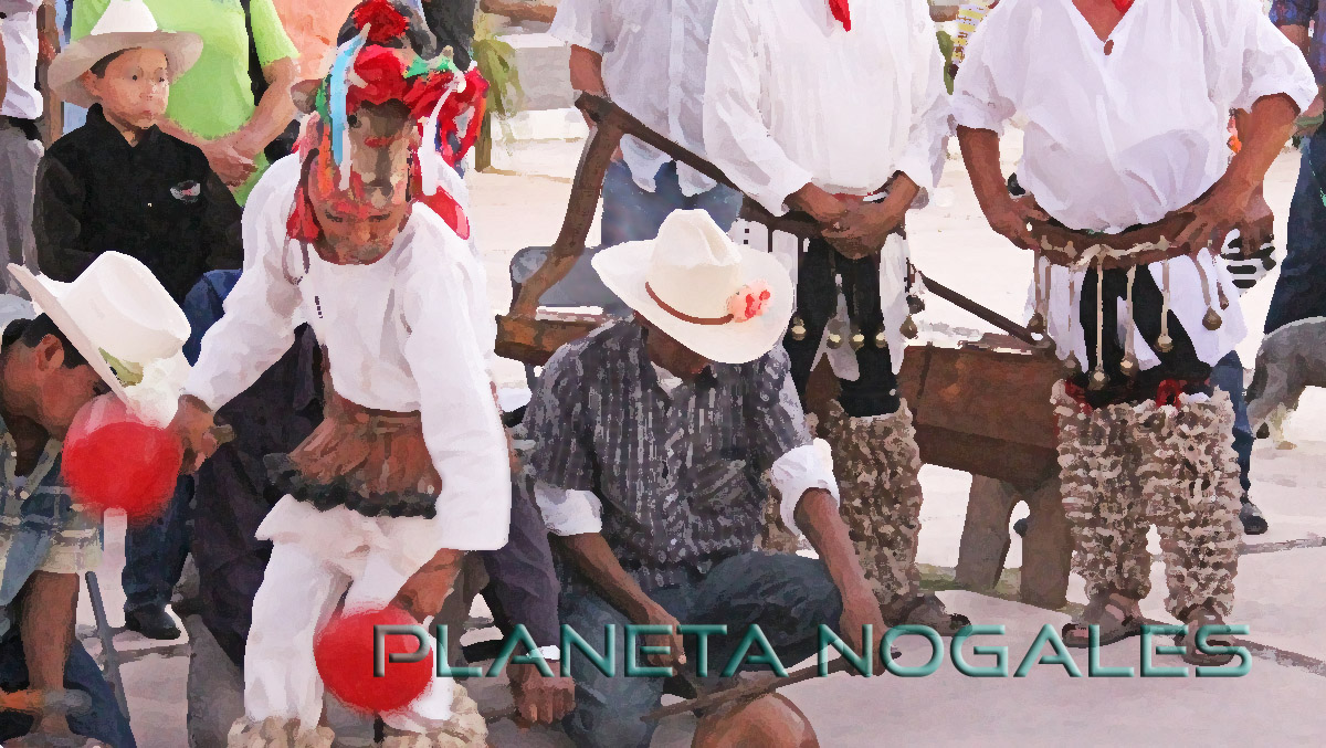 Yaqui tradicional danza del venado
